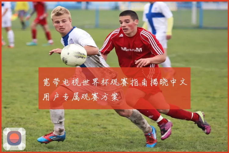 宽带电视世界杯观赛指南揭晓中文用户专属观赛方案